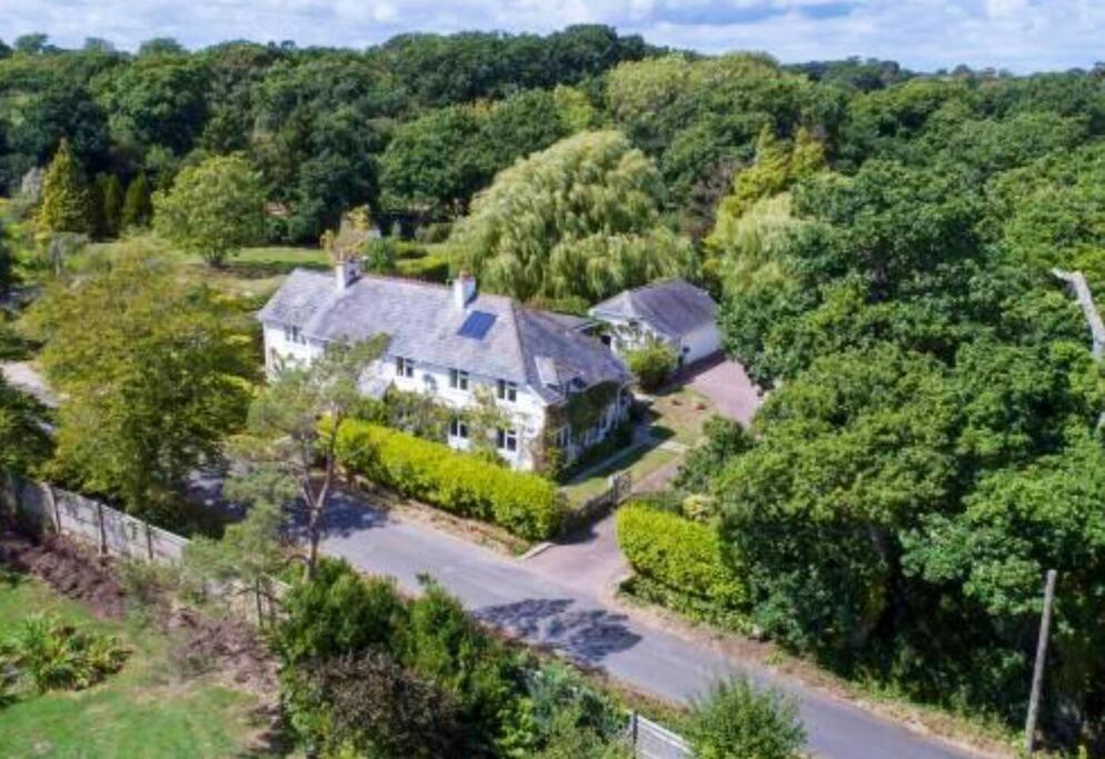 Seaside Spacious Cosy Cottage On The Edge Of The New Forest