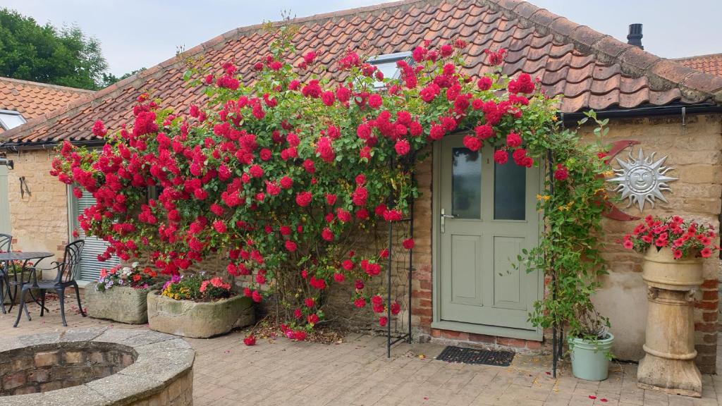 Cosy Studio Cottage