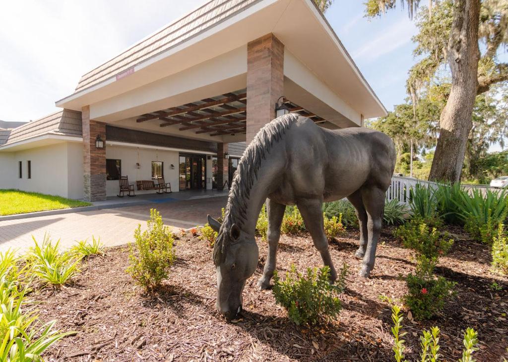 Equus Inn I75